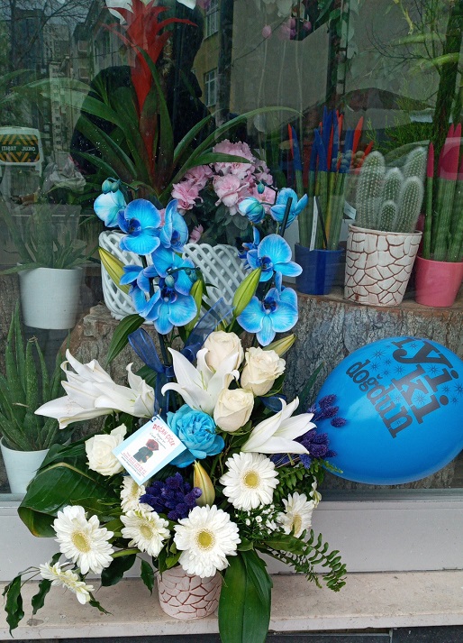 mavi,-orkide-aranjmani
