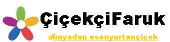ciceki faruk  iek logo